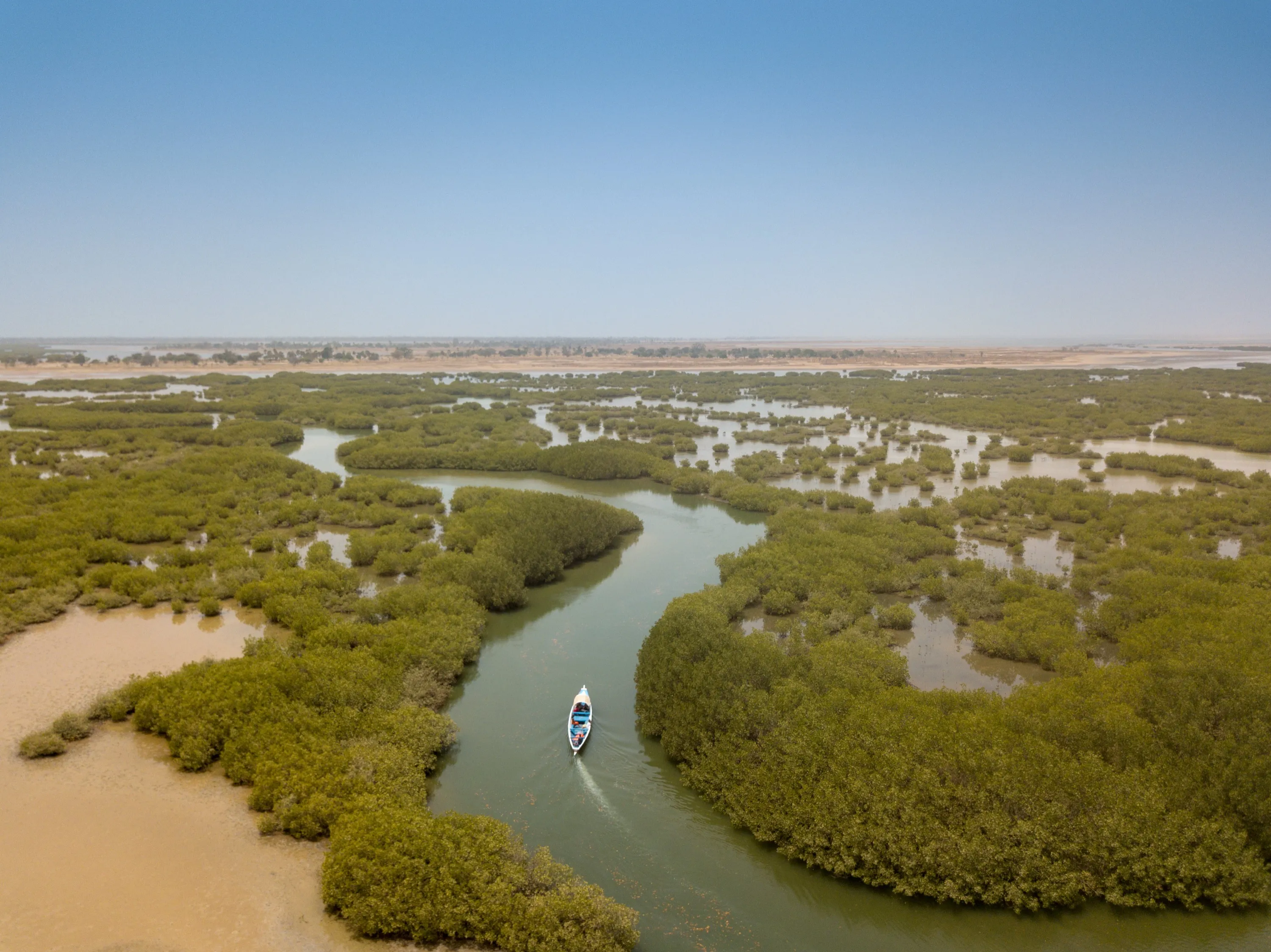 Une pirogue dans les chenaux de mangrove du delta du Sine Saloum, au Sénégal
